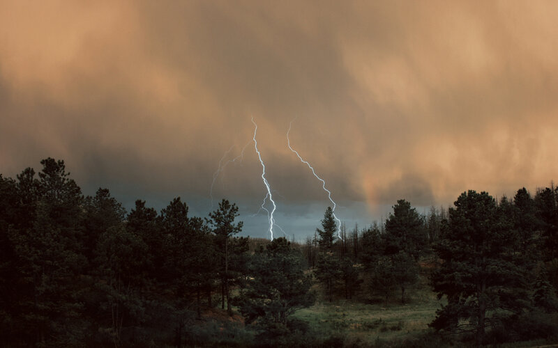 Lightning over Forest — Brown