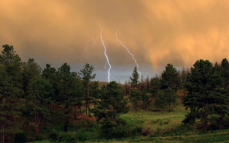 Lightning over Forest — Green, Dramatic, Night