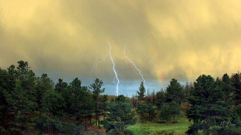 Lightning over Forest — Green, Dramatic