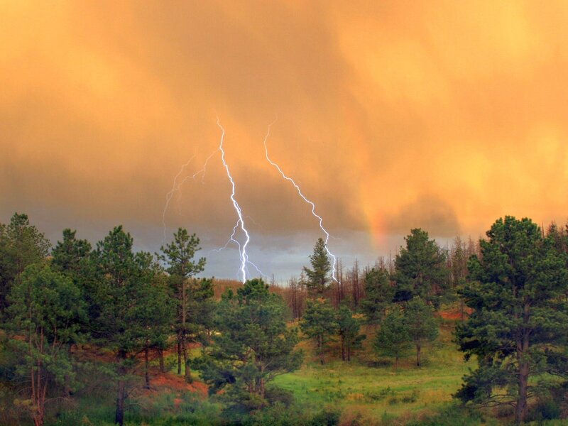 Lightning over Forest — Orange, Dramatic, Sunset, Photograph, Trees, Storm, Rainbow