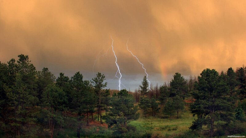 Lightning over Forest — Orange, Dramatic, Sunset, Photograph, Trees, Storm
