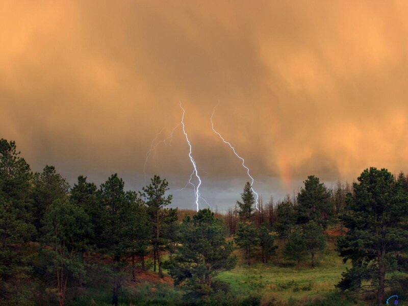 Lightning over Forest — Orange, Dramatic, Sunset