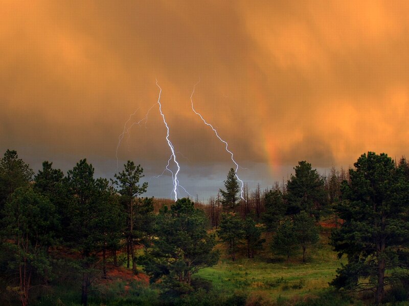 Lightning over Forest — Orange