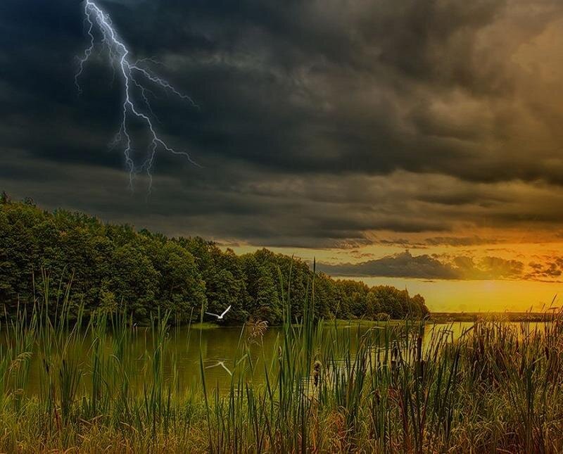 Lightning over Lake — Dark Gray