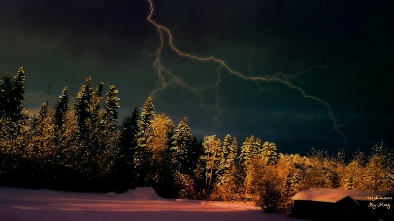 Lightning over Snowy Trees