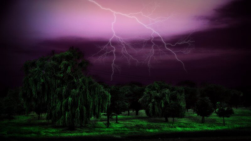 Lightning over Trees