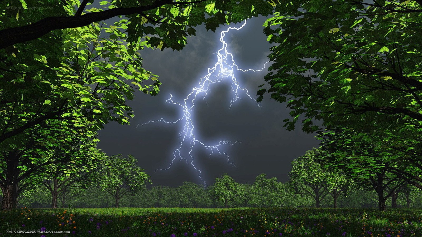 Lightning storm in forest