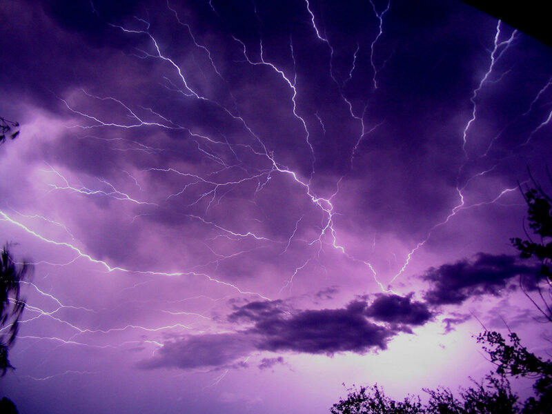 Lightning Storm in Sky — Purple, Dramatic, Night, Photograph, Clouds, Trees, Black