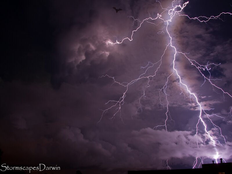 Lightning Storm in Sky — Purple, Dramatic, Night