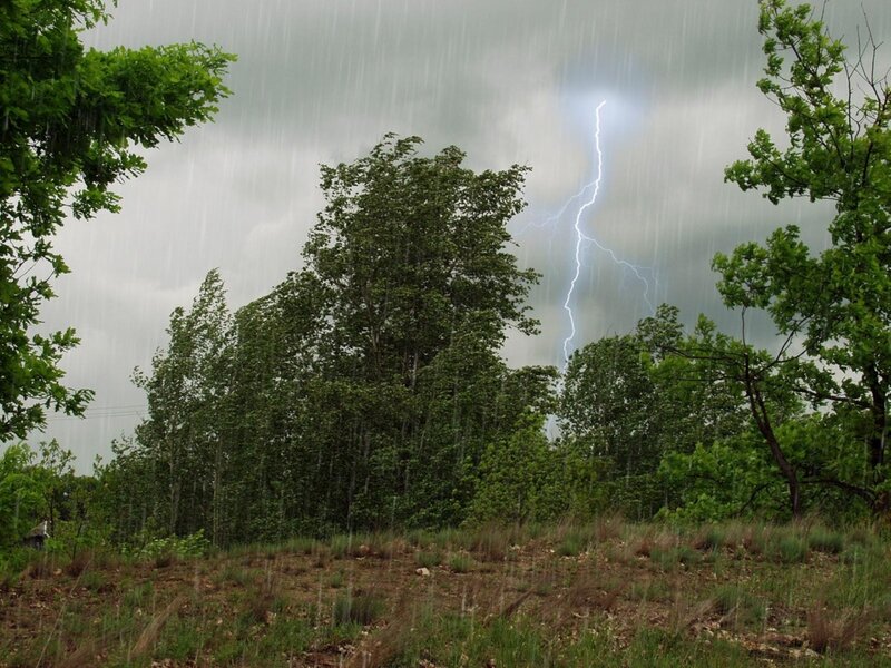 Lightning storm in the forest