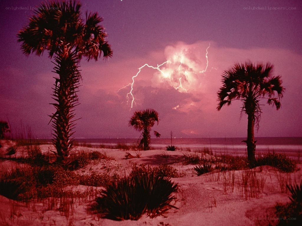 Lightning storm over beach