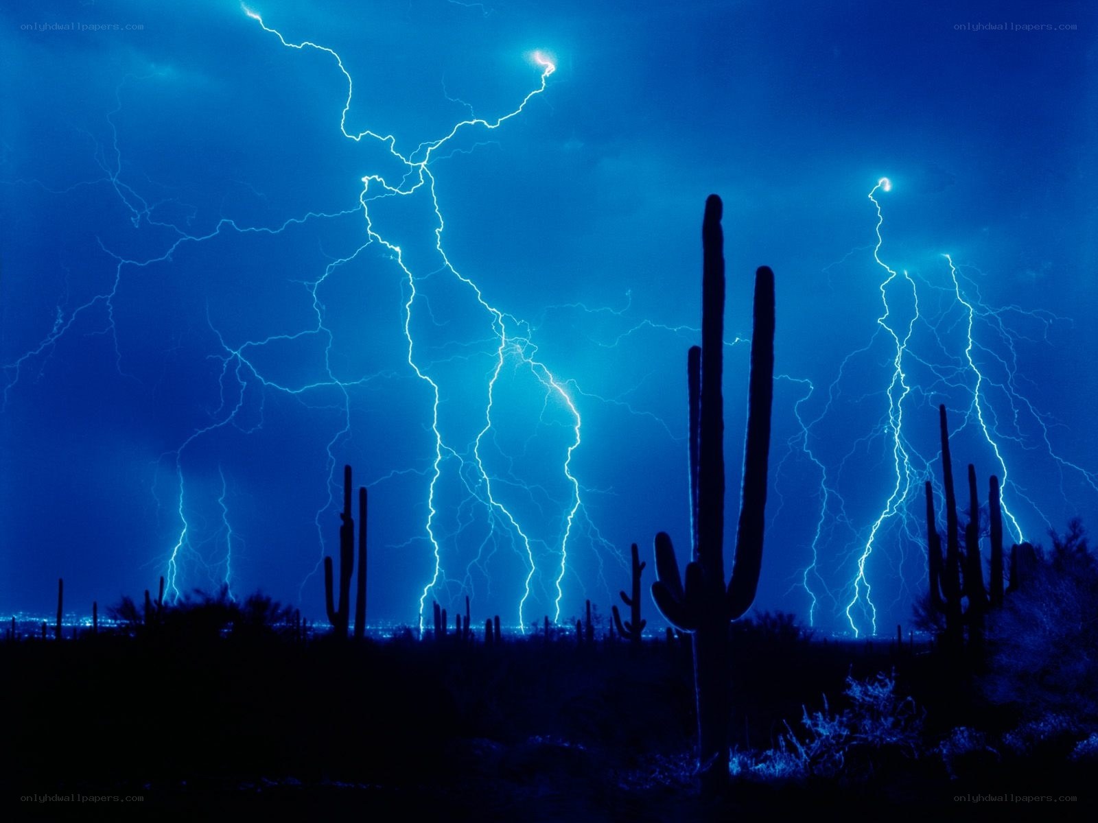 Lightning storm over cactus field