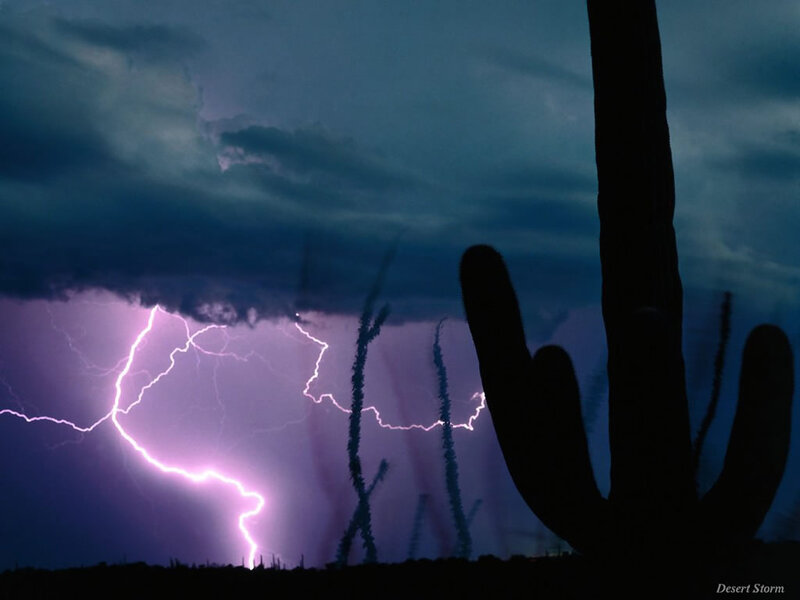 Lightning Storm over Cactus — Purple