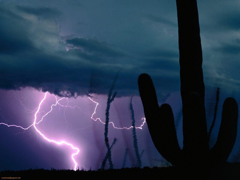 Lightning storm over cactus
