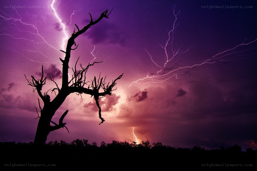 Lightning storm over dead tree