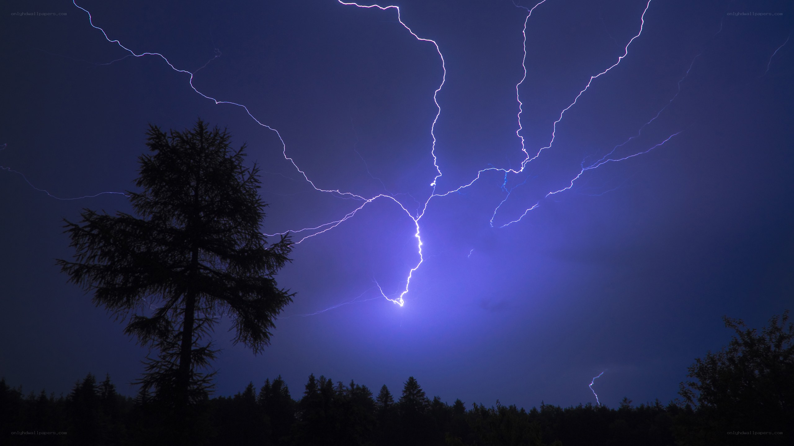Lightning storm over forest