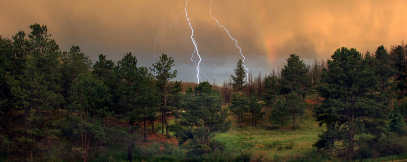 Lightning storm over forest