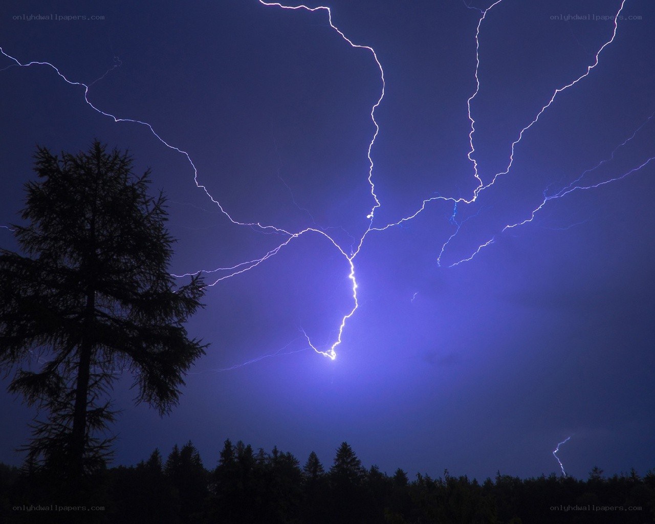 Lightning storm over forest