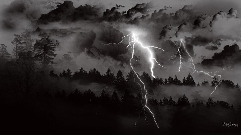 Lightning storm over forest