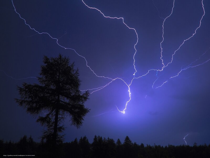 Lightning storm over forest