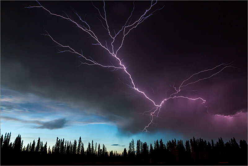 Lightning Storm over Forest — Purple