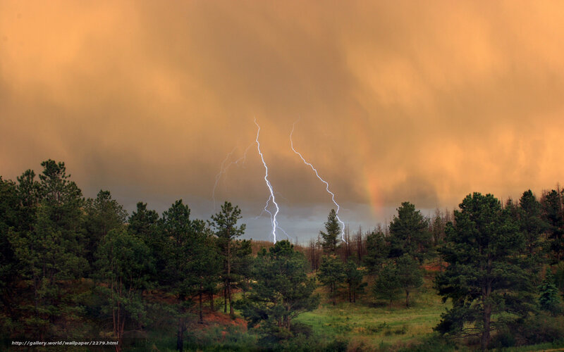 Lightning storm over forest