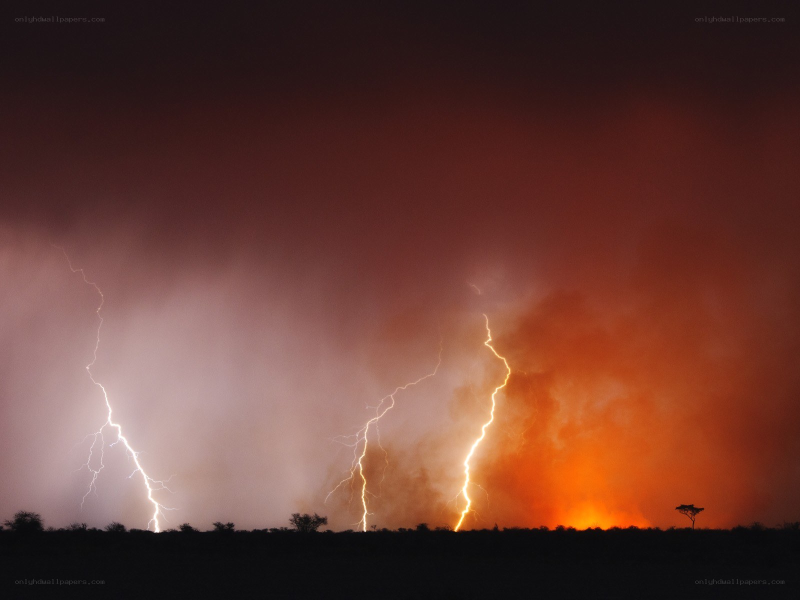 Lightning storm over savanna