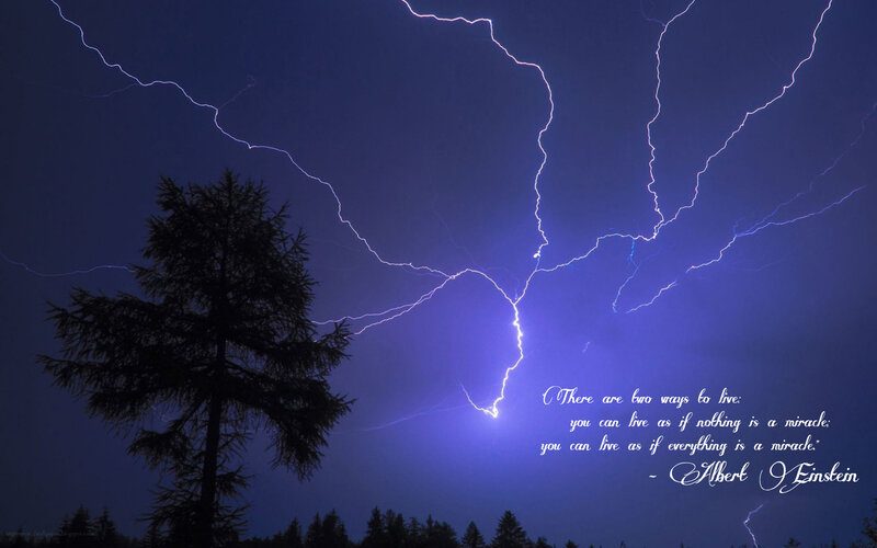 Lightning Storm over Tree