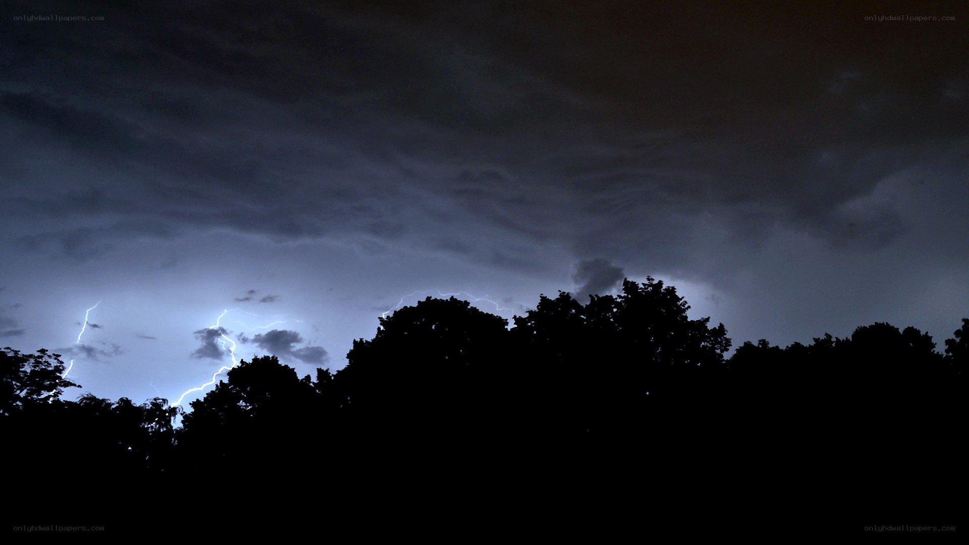 Lightning storm over trees