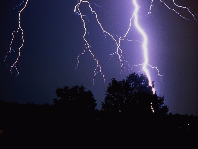 Lightning storm over trees