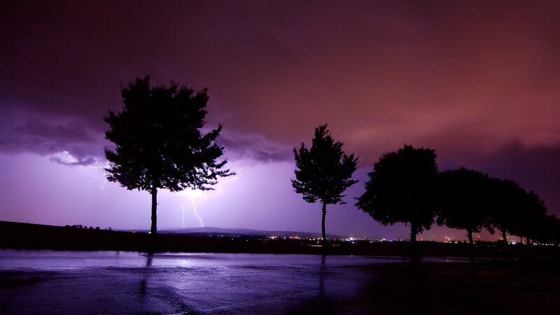 Lightning storm over trees
