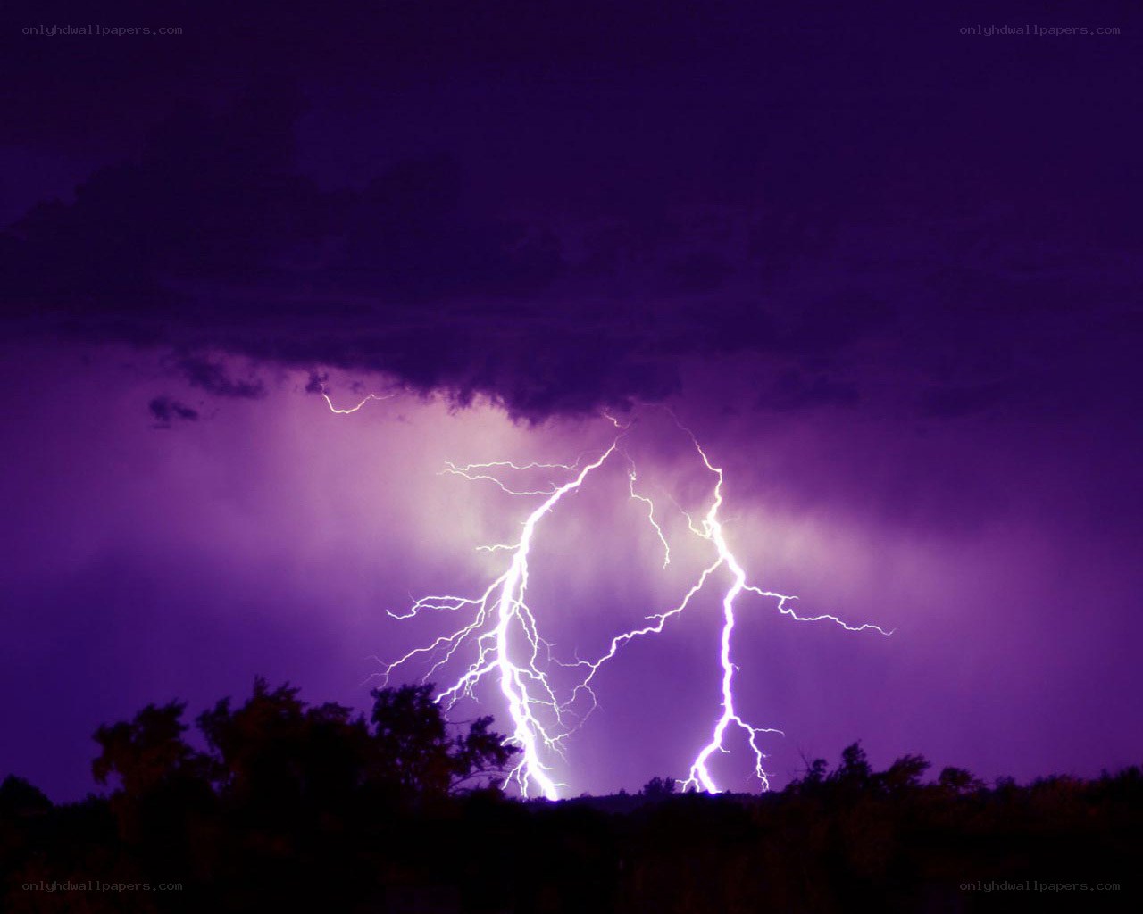 Lightning storm over trees