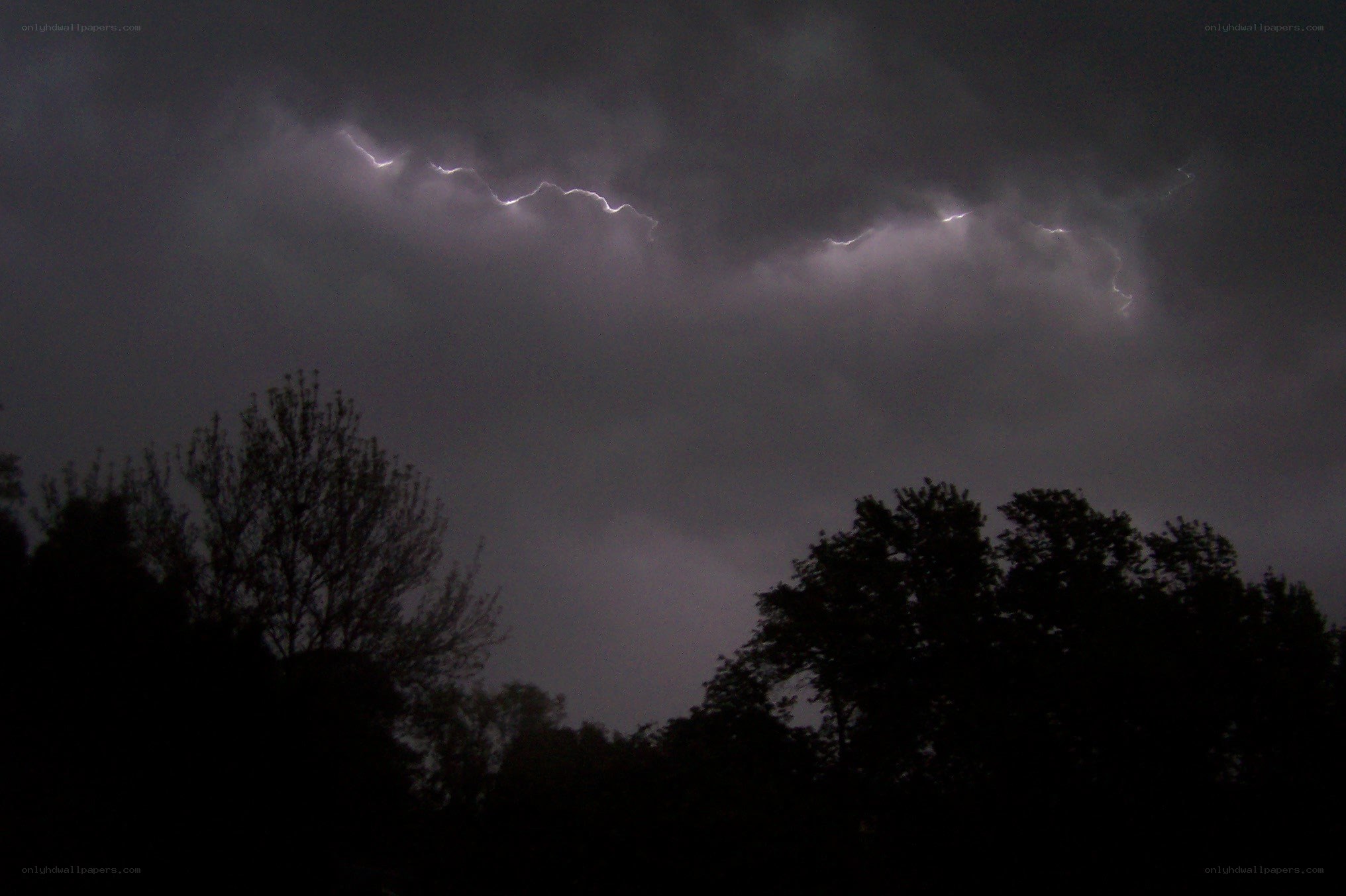 Lightning storm over trees