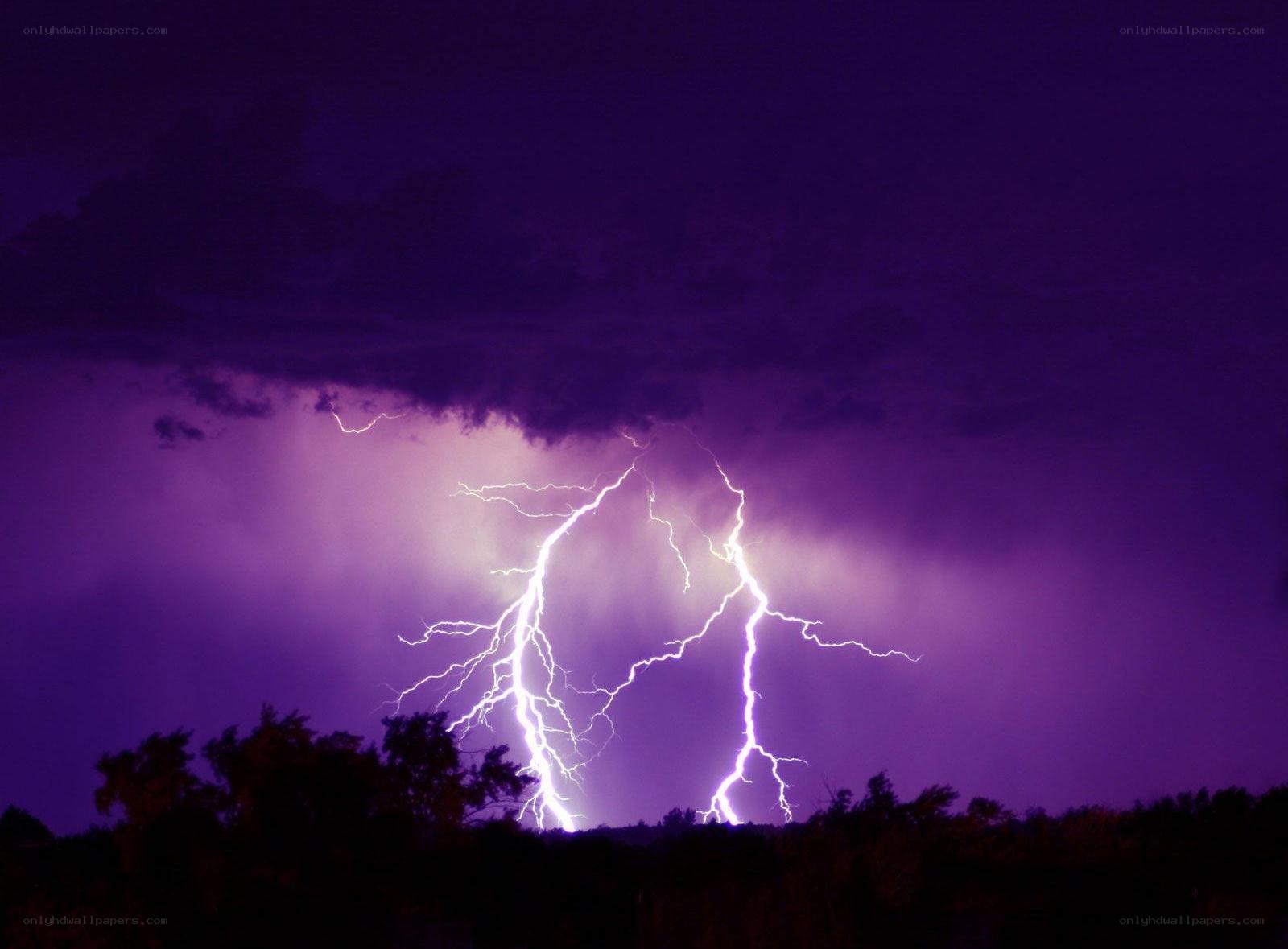 Lightning storm over trees