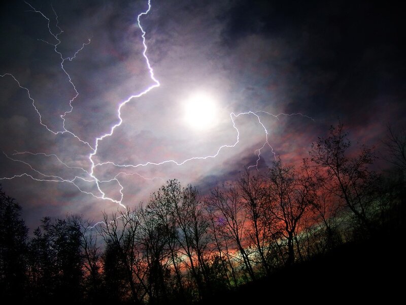Lightning Storm over Trees — Black, Dramatic, Night