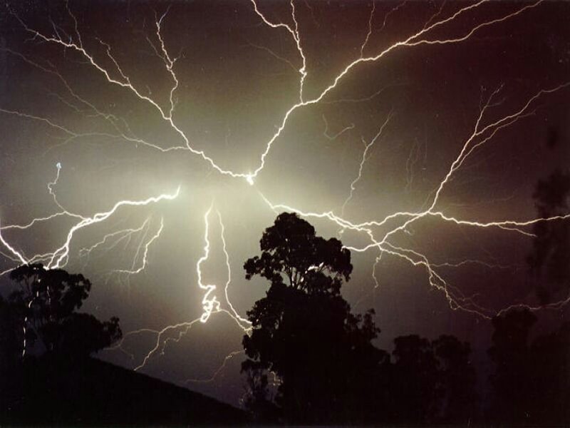 Lightning Storm over Trees — Black, Dramatic