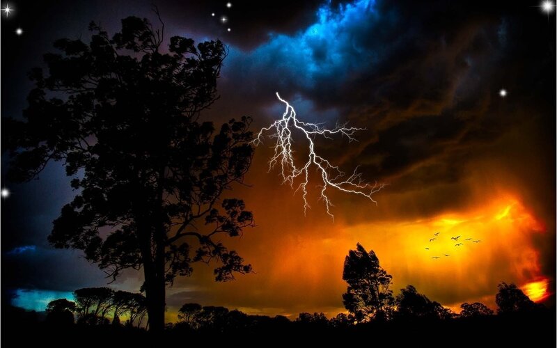 Lightning Storm over Trees — Blue, Dramatic, Night, Photograph, Birds