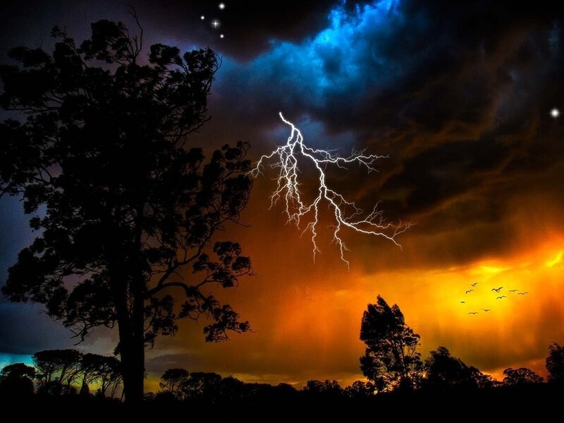 Lightning Storm over Trees — Blue, Dramatic, Night