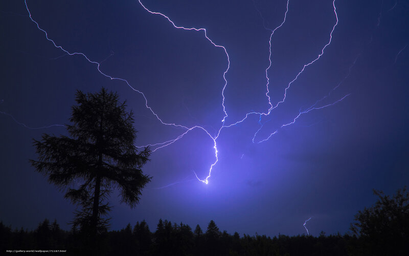 Lightning Storm over Trees — Blue, Dramatic