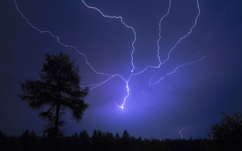 Lightning Storm over Trees — Blue, Photograph