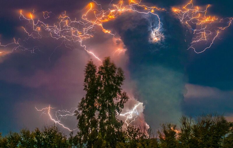 Lightning Storm over Trees — Purple, Dramatic, Night, Photograph, Clouds