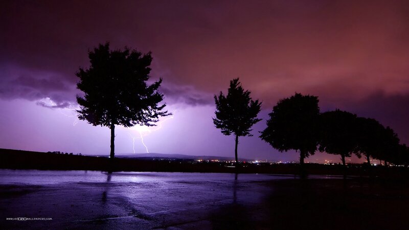 Lightning Storm over Trees — Purple, Dramatic, Night, Photograph