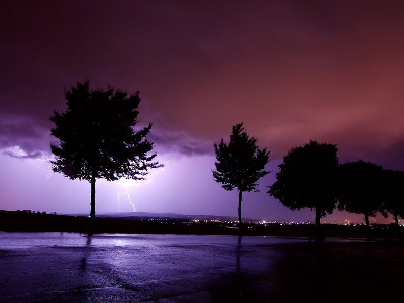 Lightning Storm over Trees — Purple, Dramatic, Night