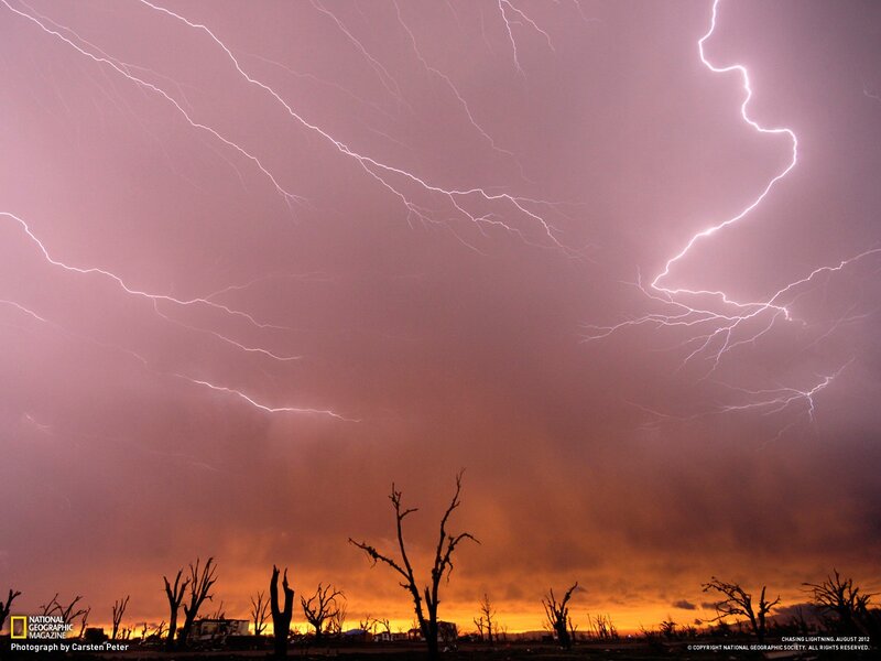 Lightning Storm over Trees — Purple, Dramatic, Sunset