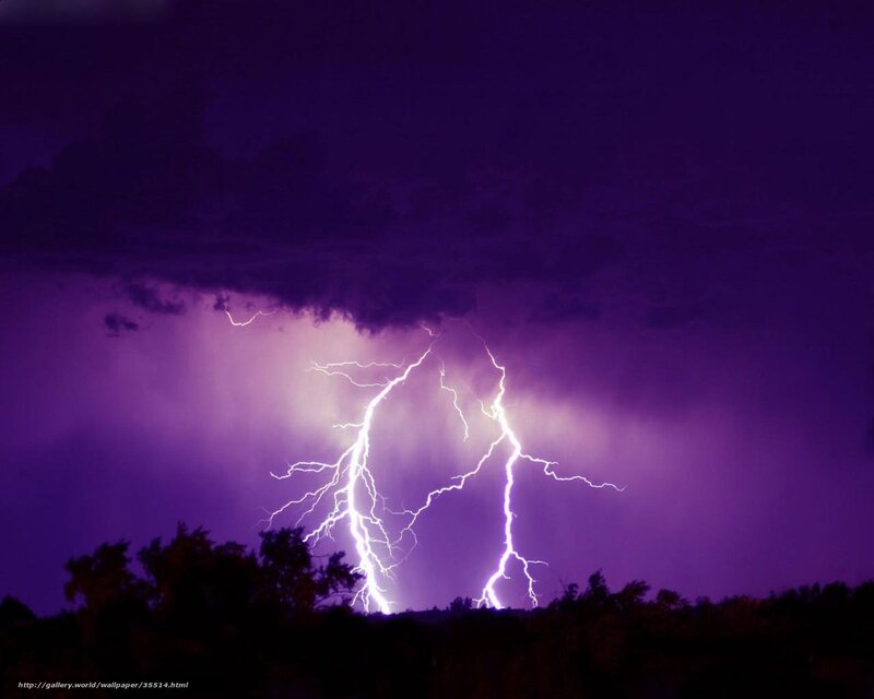 Lightning Storm over Trees — Purple, Dramatic