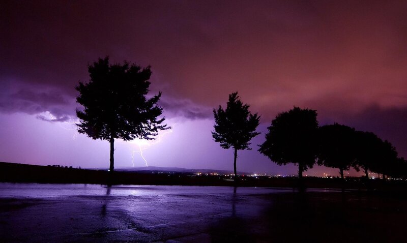Lightning Storm over Trees — Purple