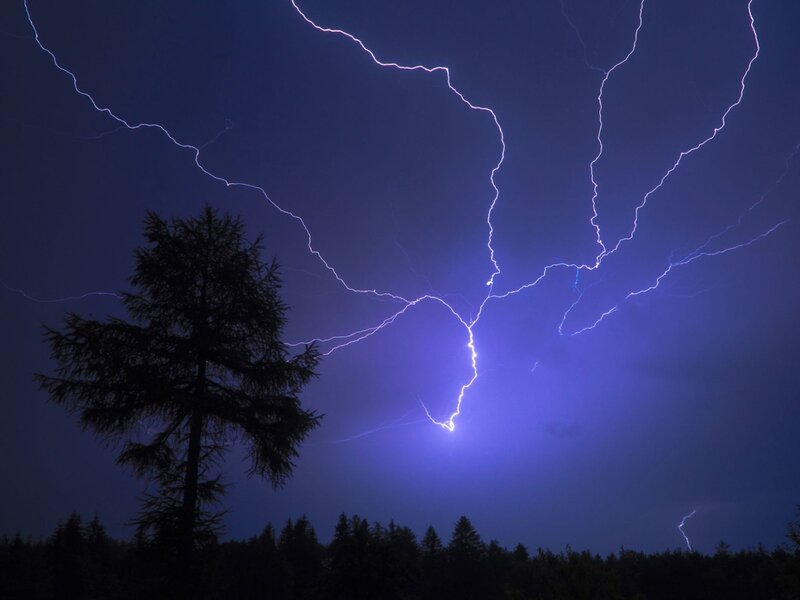 Lightning Storm over Trees — Sky
