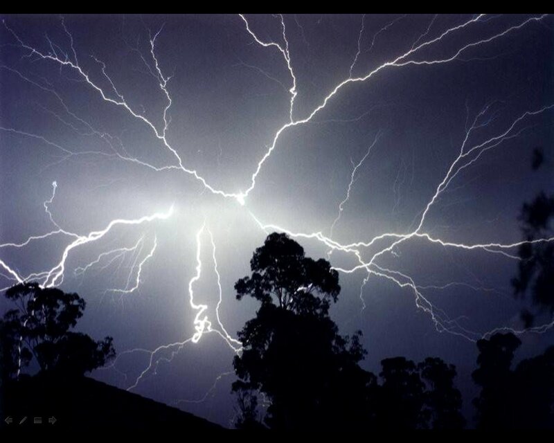 Lightning Storm over Trees — White
