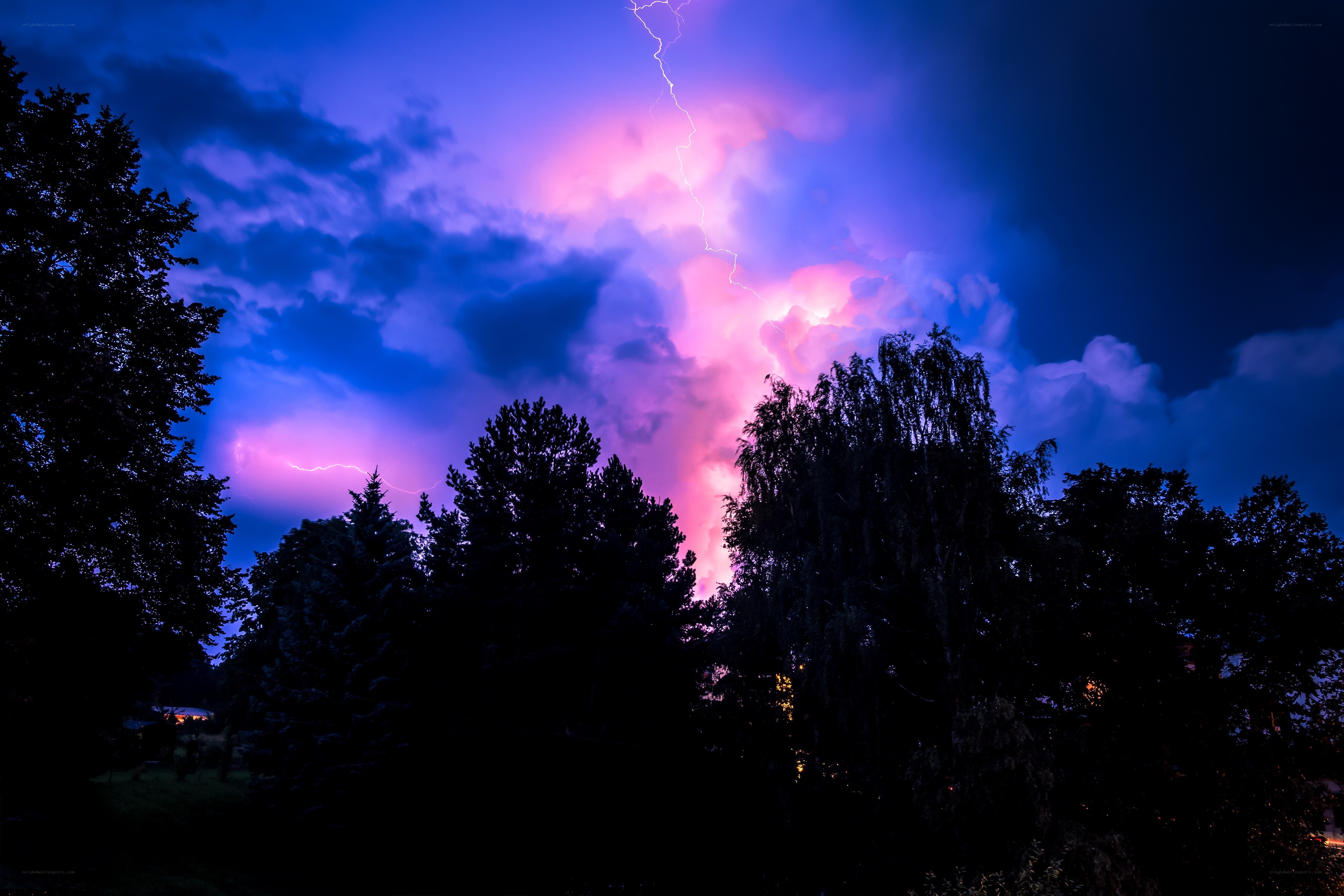Lightning storm over trees