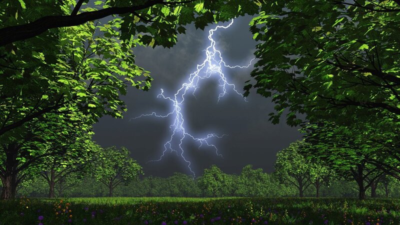 Lightning Strike in Forest — Green, Dramatic, Night, Digital Art